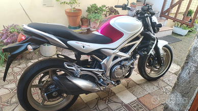 Suzuki gladius 650