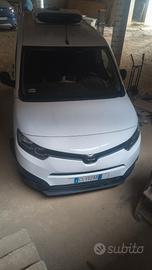 Toyota procace city refrigerato