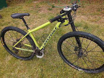 Mountain bike 