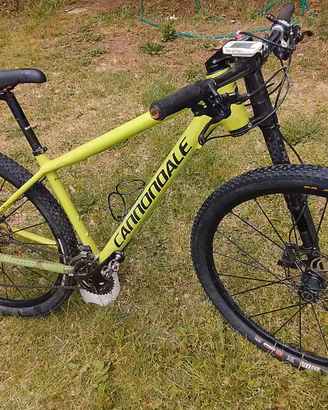 Mountain bike 