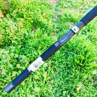 canne Shekespeare 10/25  LB - USA 