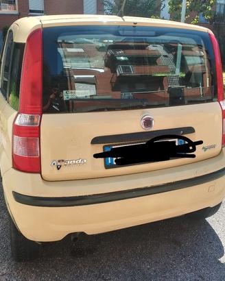 fiat panda