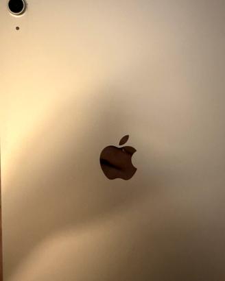 IPAD 11 WI-FI 256 GB GRIGIO