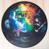 Vinile 33 giri da parete omaggio ai Muse 