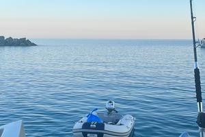 Tender + motore Honda 2,3