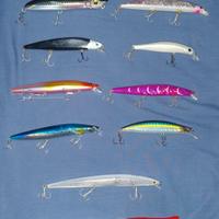 artificiali pesca spinning 