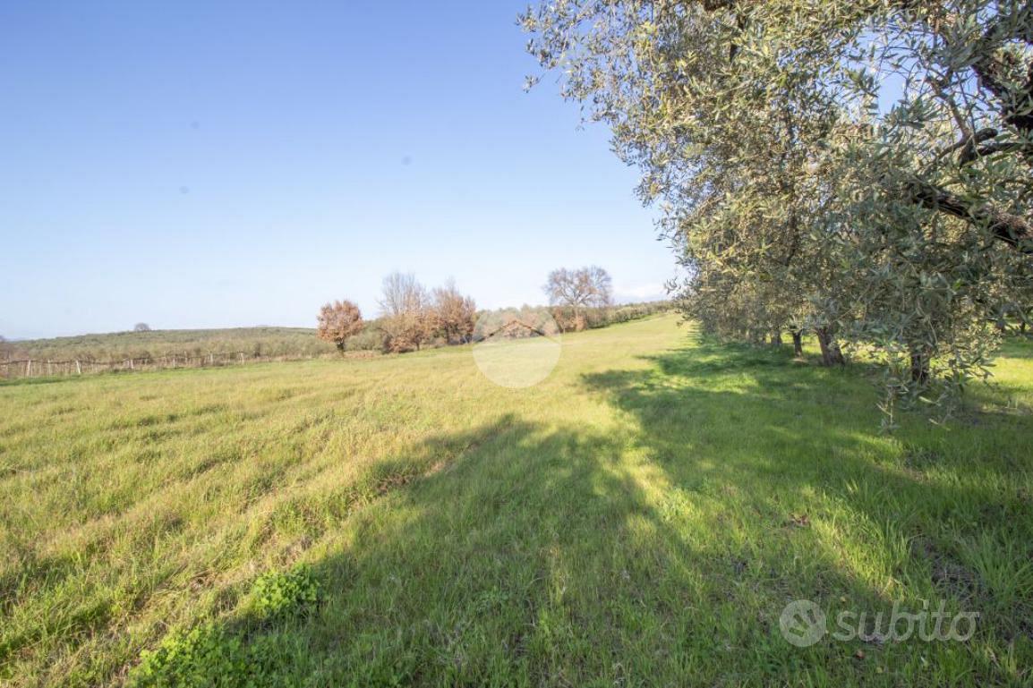 TER. AGRICOLO A PALOMBARA SABINA - Vista 5
