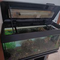 Acquario 89/100L
