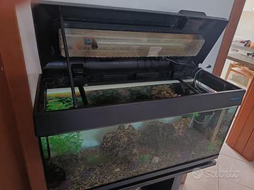 Acquario 89/100L