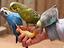 Immagine 3