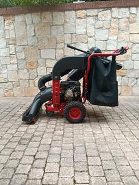aspira foglie biotrituratore
LV  650  SPL   Deluxe