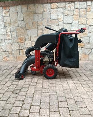 aspira foglie biotrituratore
LV  650  SPL   Deluxe
