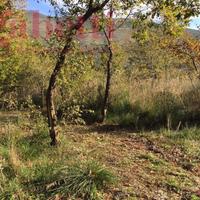 Terreno Agricolo Giano Vetusto