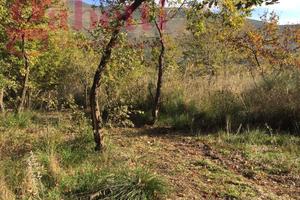 Terreno Agricolo Giano Vetusto