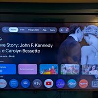 TV lcd Sony 55 pollici