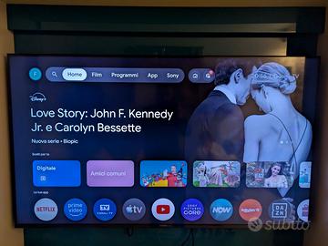 TV lcd Sony 55 pollici