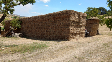 Paglia e fieno