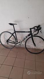 bici da corsa Opera Pinarello 