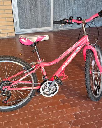 atala butterfly 24