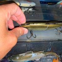 swimbait pesca luccio/ blackbass lotto o separate