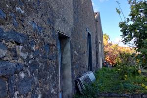 Terreno agricolo Parco Urbano