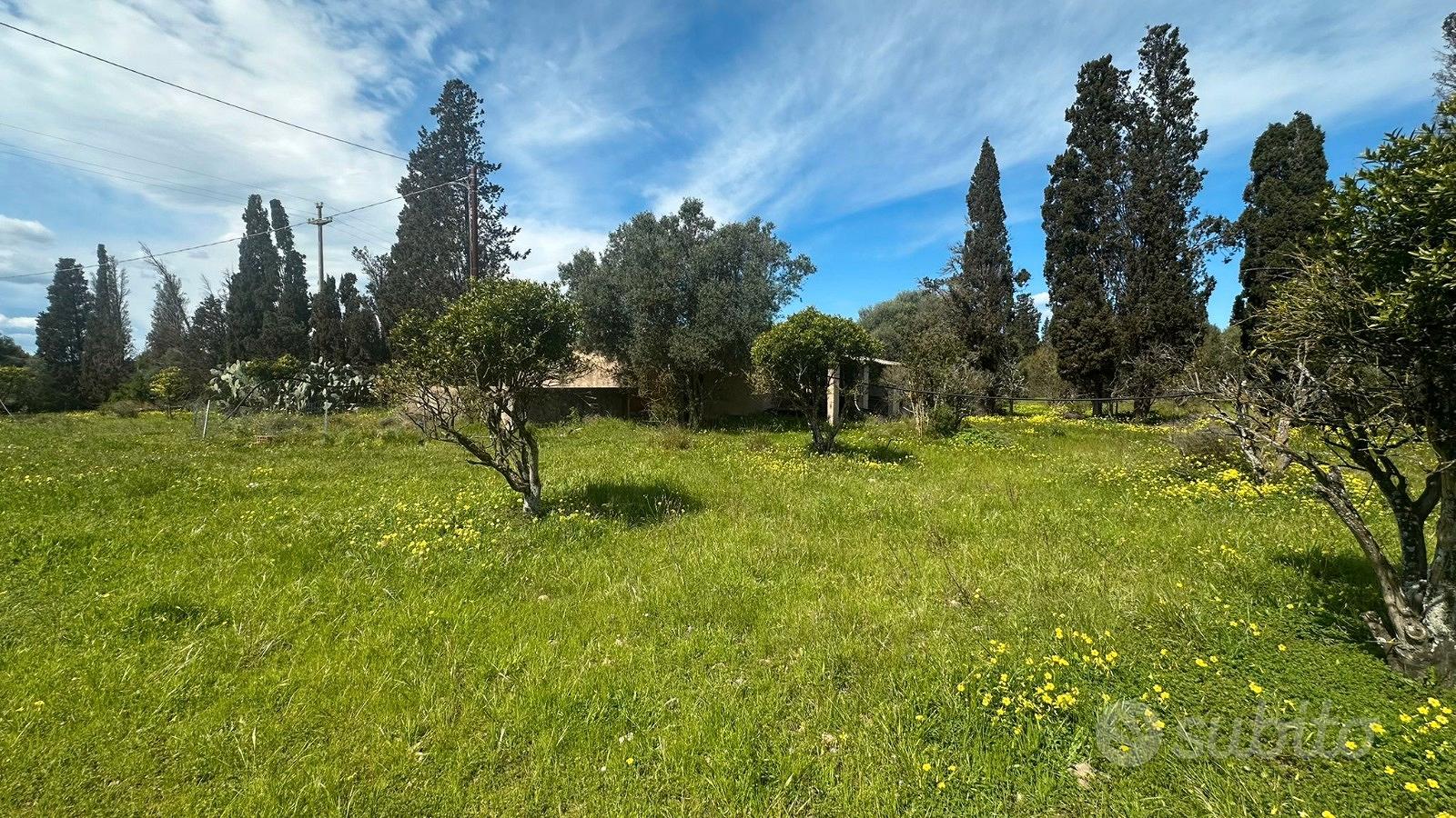 Rudere pressi zona Santa Lucia oltre 3 ettari - View 2
