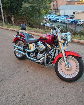 Harley Davidson Fat Boy 105 anniversary