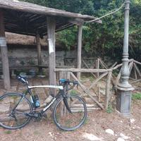 bici da corsa bianchi in carbonio €500