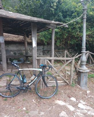 bici da corsa bianchi in carbonio €500
