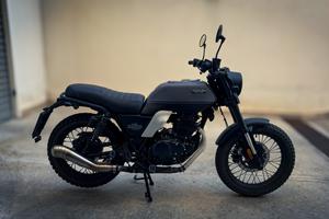 Brixton Felsberg 250