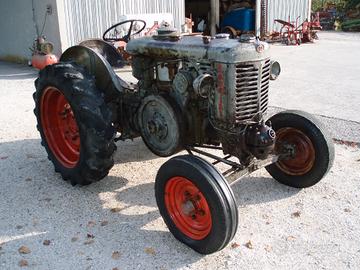 Landini testacalda