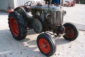 Landini testacalda