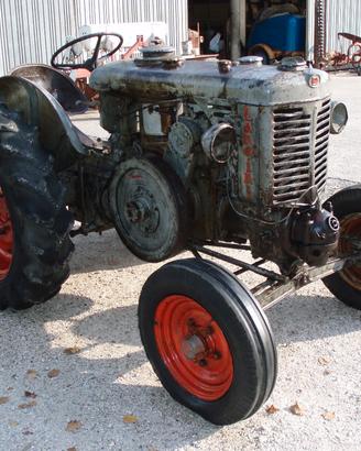 Landini testacalda