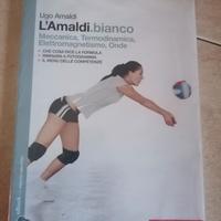 L'Amaldi. bianco