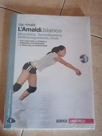 L'Amaldi. bianco