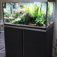 acquario Askoll Siena 270 