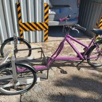 Bicicletta per trasportare disabile in carrozzinai