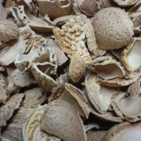 bucce di mandorle 