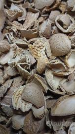 bucce di mandorle 