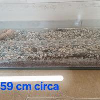 acquario per tartarughe