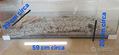 acquario per tartarughe