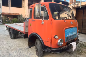 Camion om cerbiatto