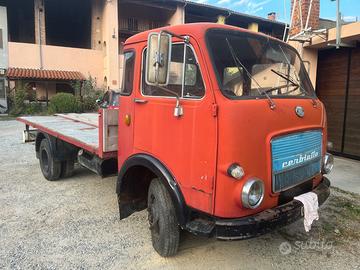 Camion om cerbiatto