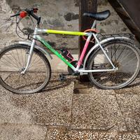 bicicletta 