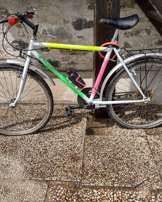 bicicletta 