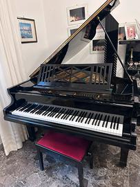 Pianoforte a coda