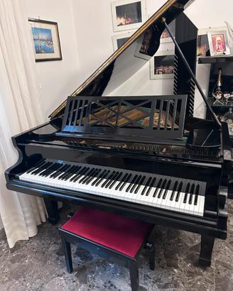 Pianoforte a coda