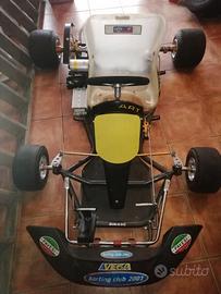 Go kart elettrico 4 marce
