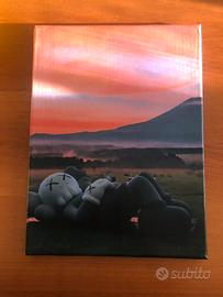 Quadro di Kaws