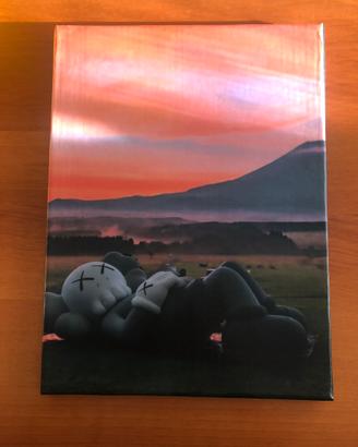 Quadro di Kaws